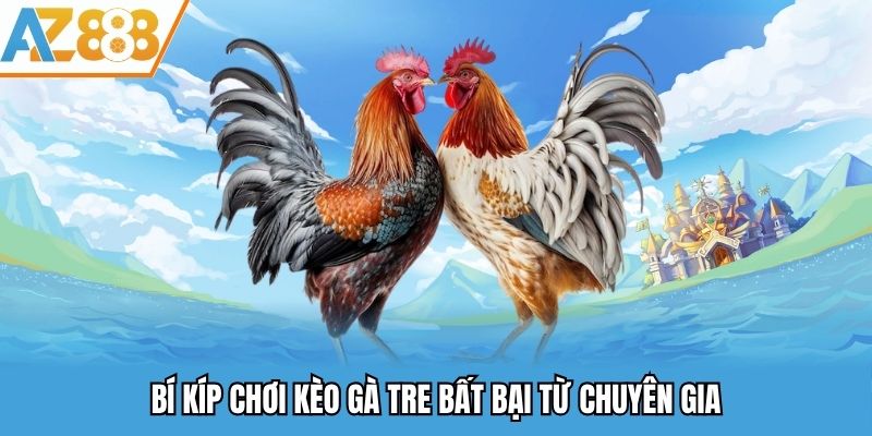 Cá Cược Gà Tre - Kèo Chọi Gà Cực Hấp Dẫn Tại Az888 3 Bí kíp chơi kèo gà tre bất bại từ chuyên gia