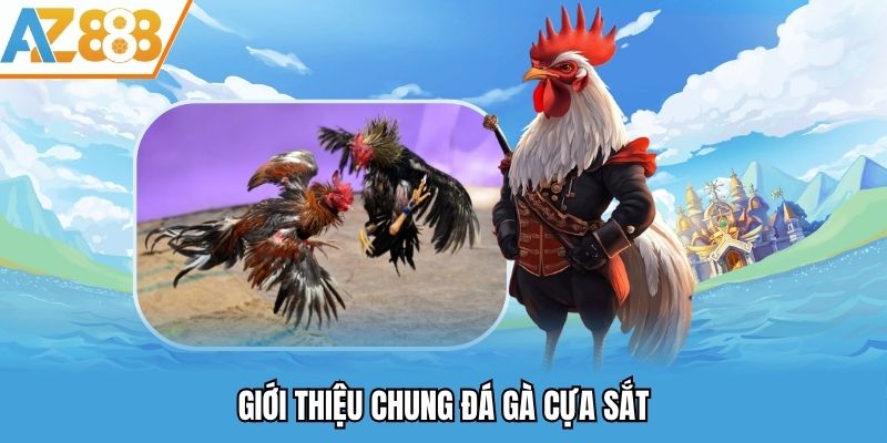 Đá Gà Cựa Sắt - Sân Chơi Chọi Kê Uy Tín Và Gay Gấn Tại AZ888 1 Giới thiệu chung đá gà cựa sắt