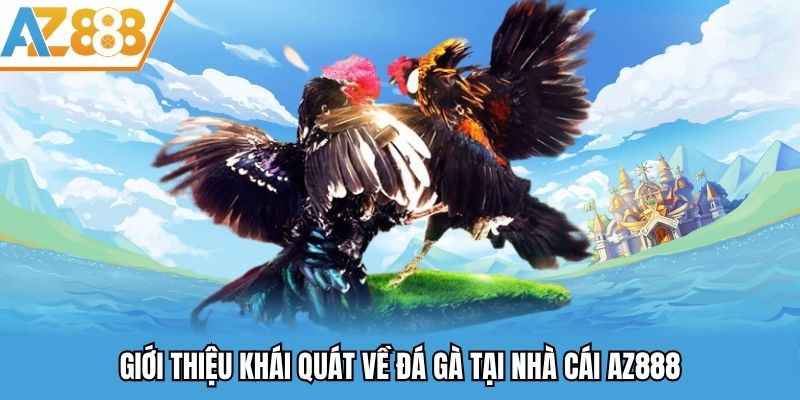 Giới thiệu khái quát về đá gà tại nhà cái AZ888